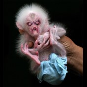 Photoshop Design by ozplasmic