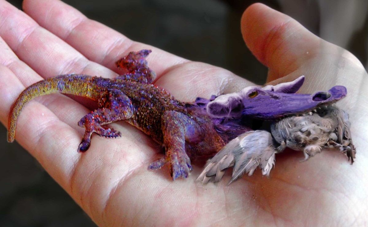 Photoshop-Design von cleareyes für DesignCrowd (Community Contests) | Design #9036932