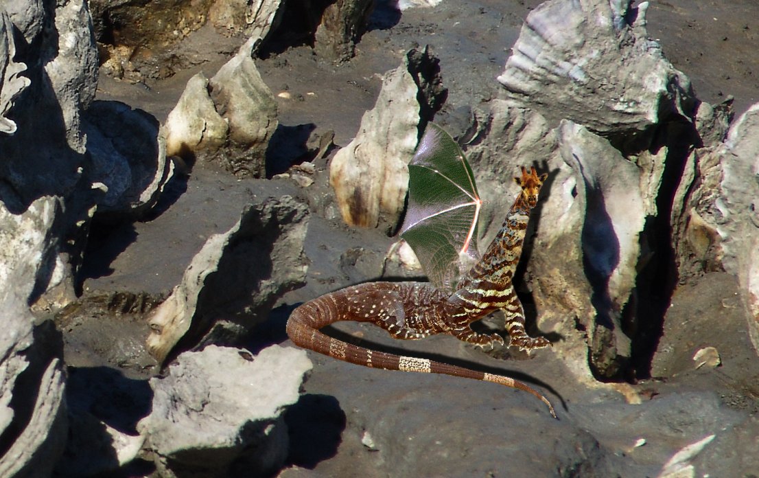 Photoshop Design by wombat007 for DesignCrowd (Community Contests) | Design #9036936