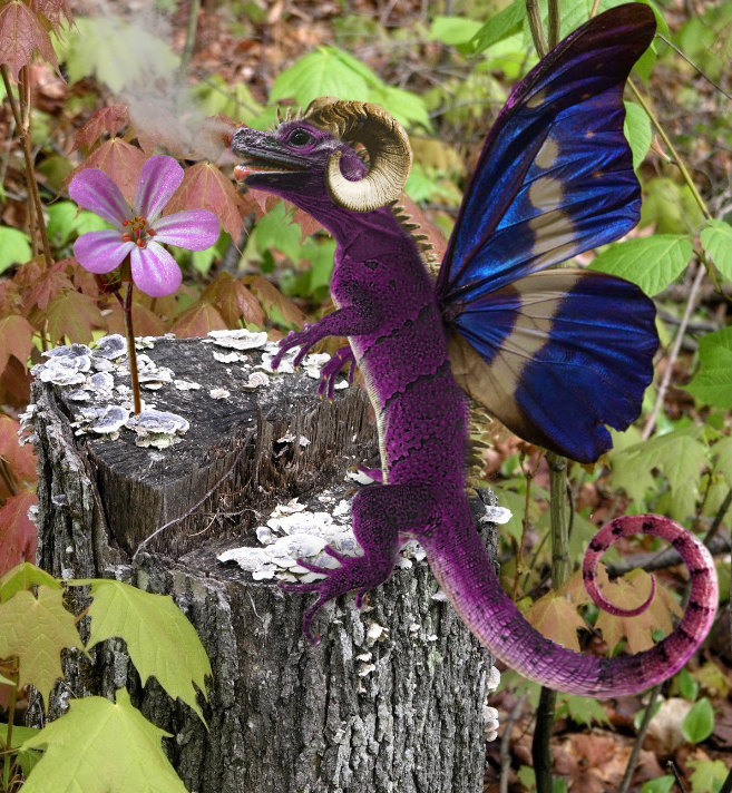 Photoshop Design by CoolKat85 for DesignCrowd (Community Contests) | Design #9036962