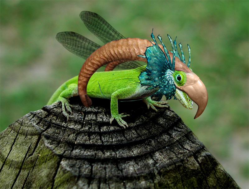 Diseño de Photoshop por Avederp para DesignCrowd (Community Contests) | Diseño #9036939