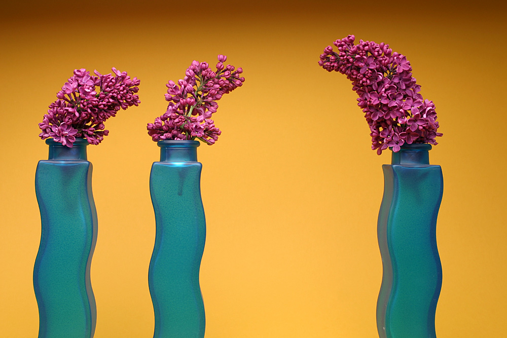 Fotografie von SigloV für DesignCrowd (Community Contests) | Design #9047053