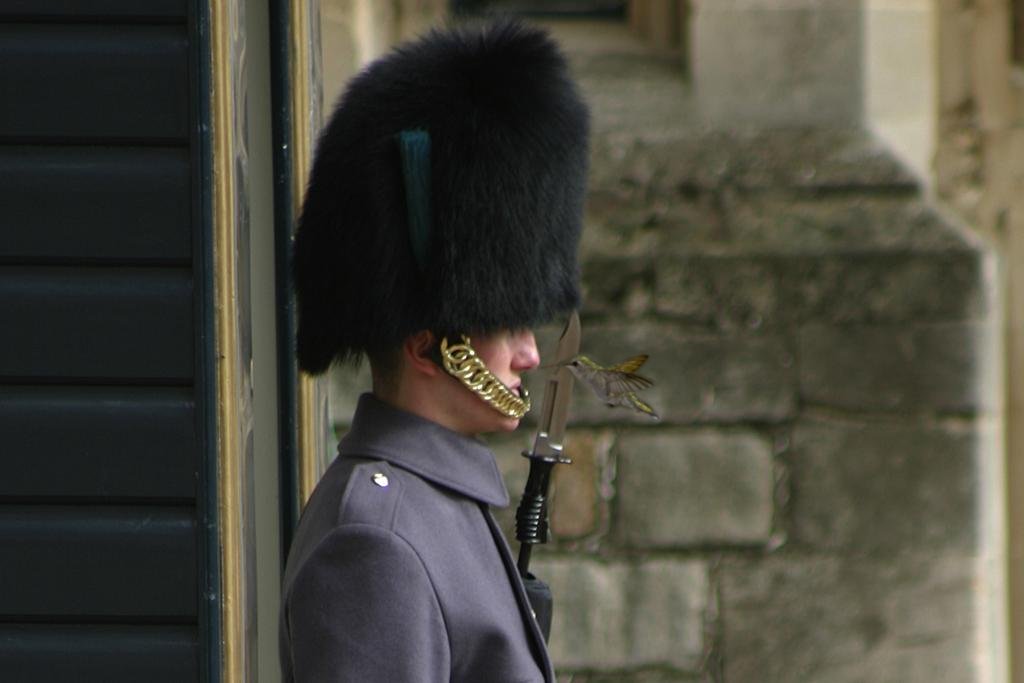 Photoshop Design by moco11 for DesignCrowd (Community Contests) | Design #9053164