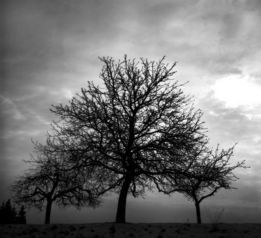 Photography by Nylotic for DesignCrowd (Community Contests) | Design #9047099