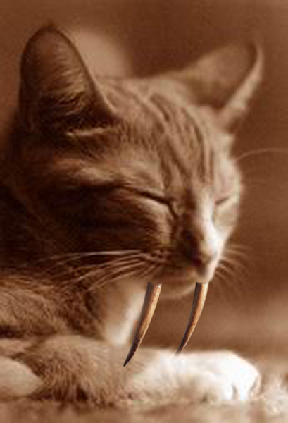 Photoshop Design by jeroboambramblejam for DesignCrowd (Community Contests) | Design #9053176