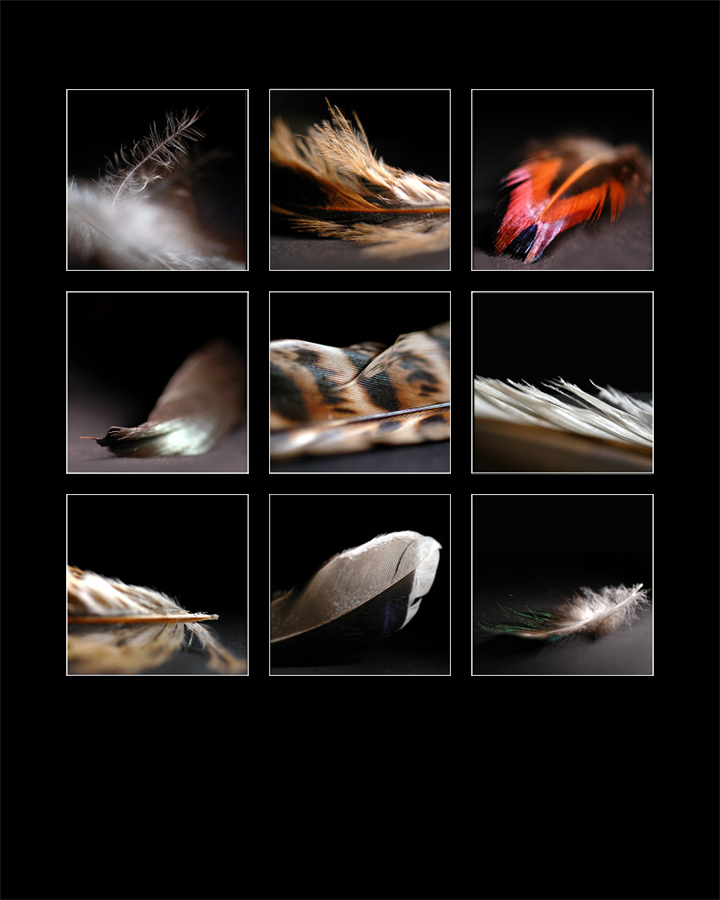 Photography by Marian for DesignCrowd (Community Contests) | Design #9048332