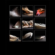 Photography by Marian