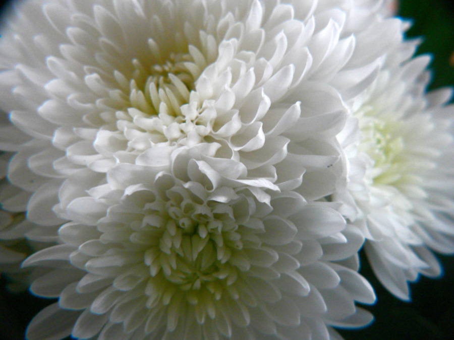 Fotografía por gymp93 para DesignCrowd (Community Contests) | Diseño #9047097