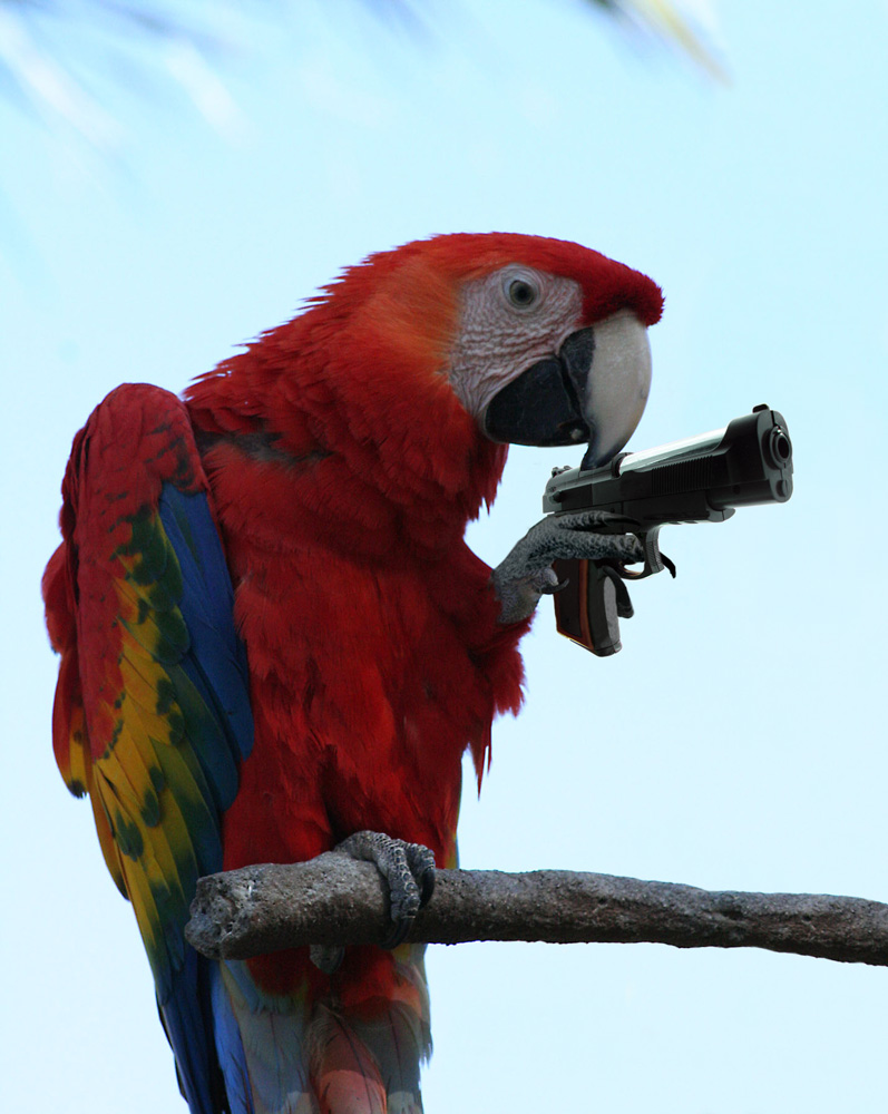 Photoshop Design by pjdietz for DesignCrowd (Community Contests) | Design #9053167