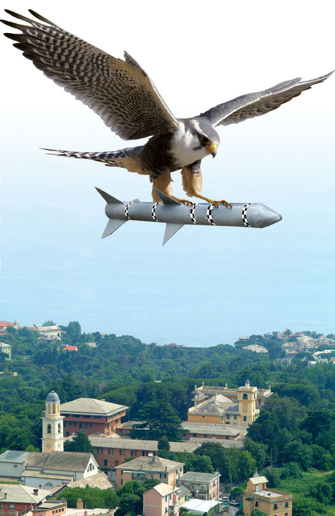 Photoshop Design by ewarning for DesignCrowd (Community Contests) | Design #9053146