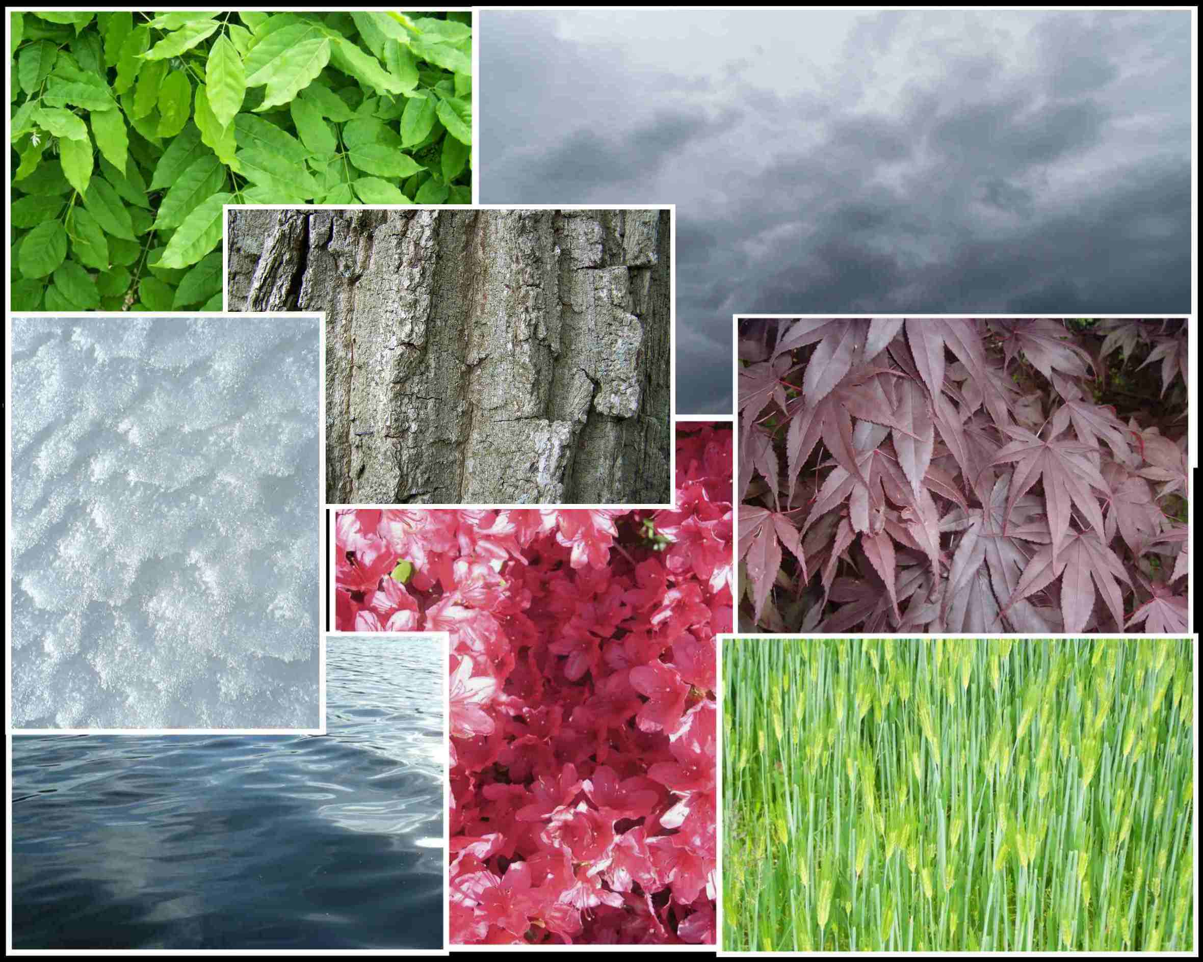 Photography by Mathavious for DesignCrowd (Community Contests) | Design #9048458