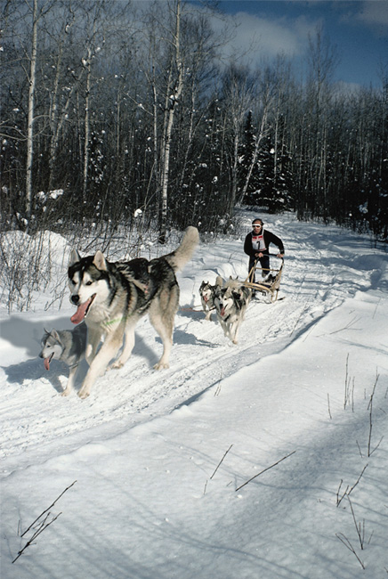 Photoshop-Design von joeri1990 für DesignCrowd (Community Contests) | Design #9048161