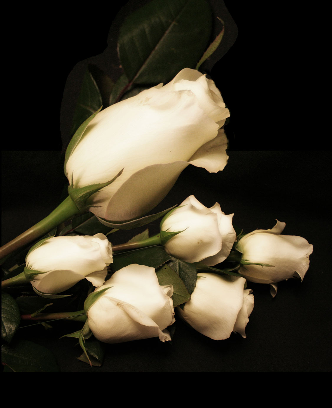 Design Photoshop par loress pour DesignCrowd (Community Contests) | Design #9048135