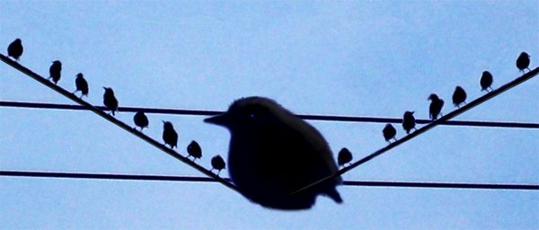 Photoshop-Design von cleareyes für DesignCrowd (Community Contests) | Design #9048144