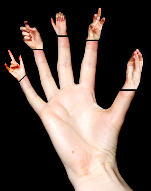 Photography by Flibble for DesignCrowd (Community Contests) | Design #9048446