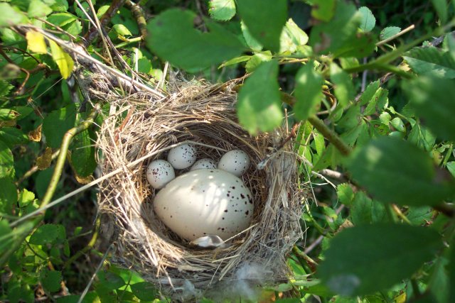 Photoshop-Design von DoctorTweek für DesignCrowd (Community Contests) | Design #9048219