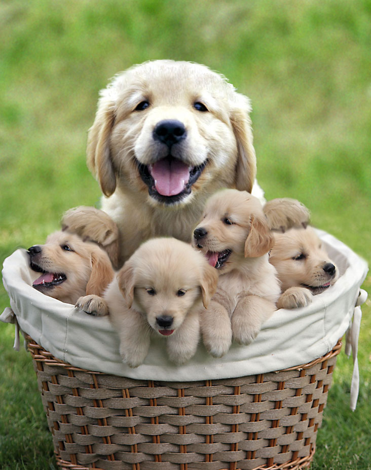 Photoshop-Design von h2oscienceguy081 für DesignCrowd (Community Contests) | Design #9048359