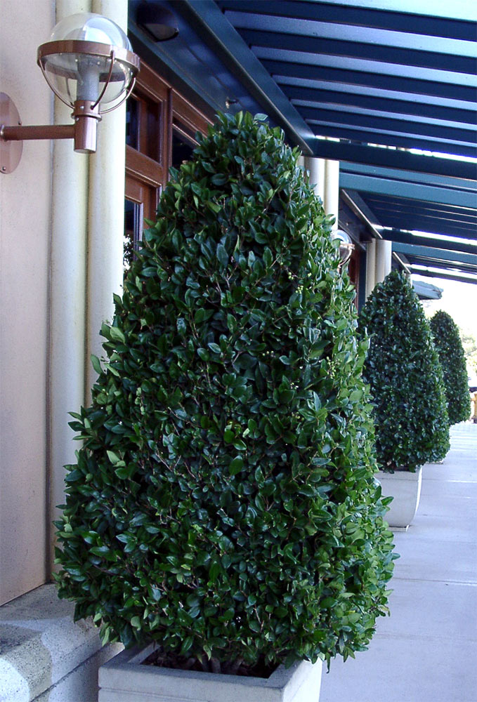 Photography by drogers for DesignCrowd (Community Contests) | Design #9047188