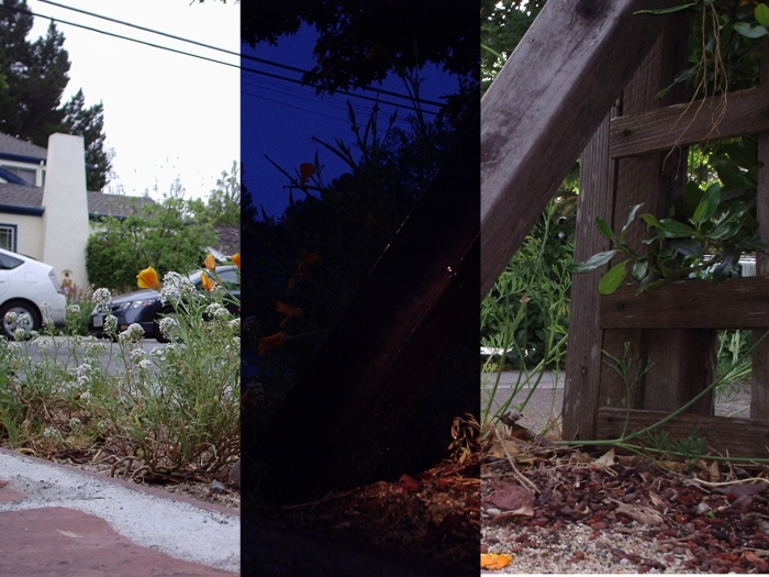 Photography by julianpitt for DesignCrowd (Community Contests) | Design #9048478