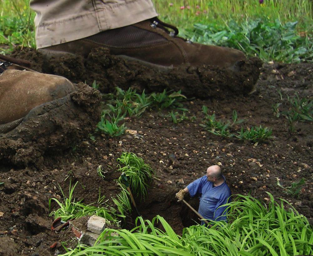 Photoshop Design by sugarcane for DesignCrowd (Community Contests) | Design #9048298