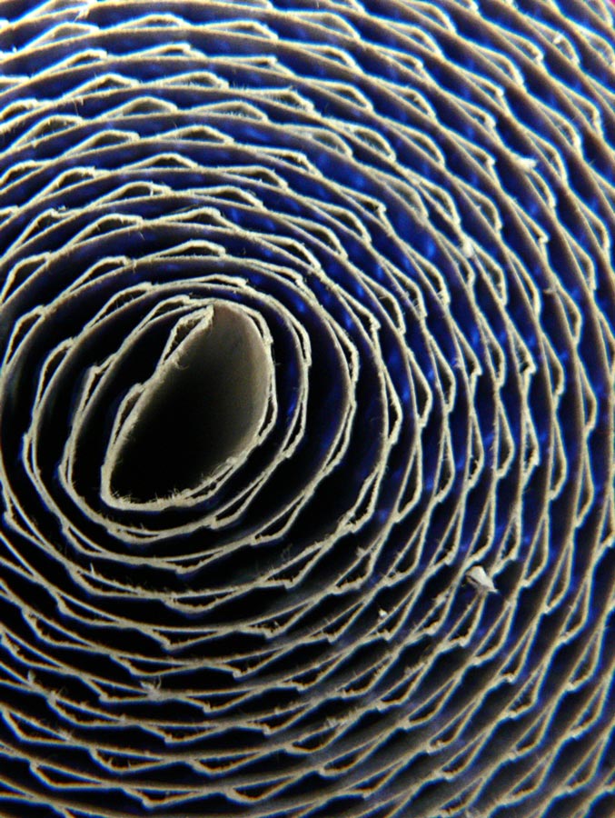 Fotografía por gymp93 para DesignCrowd (Community Contests) | Diseño #9052300