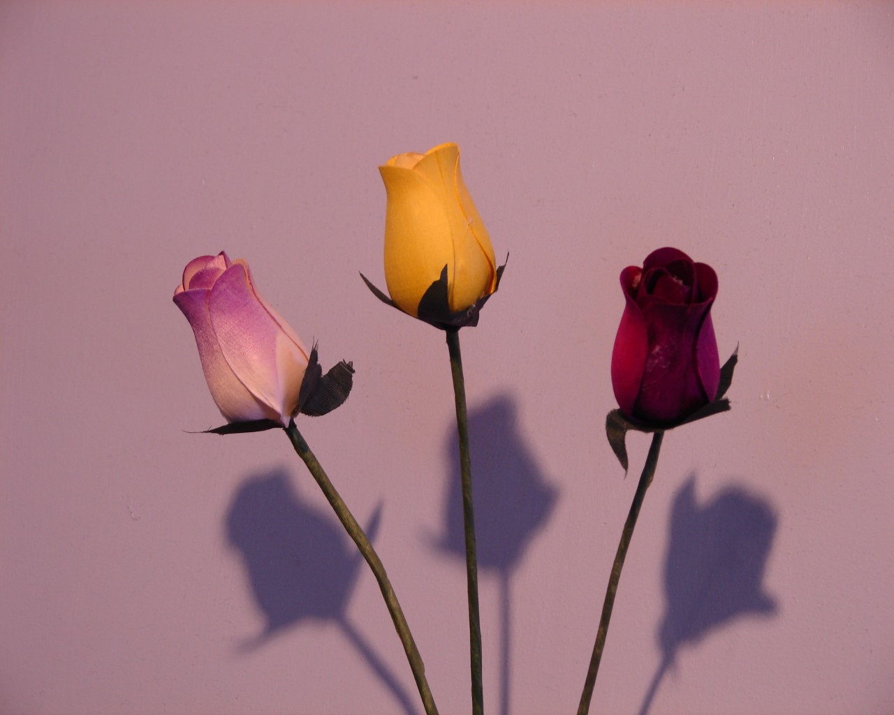 Photography by ada1621 for DesignCrowd (Community Contests) | Design #9047186