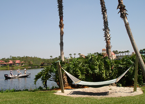 Photography by sunnymitsu for DesignCrowd (Community Contests) | Design #9047154