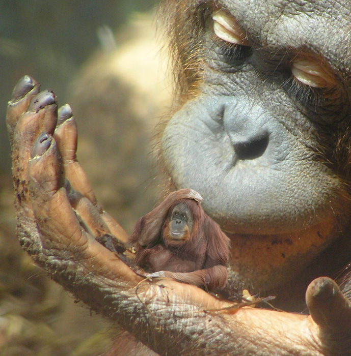 Photoshop Design by mjhaylor for DesignCrowd (Community Contests) | Design #9048489