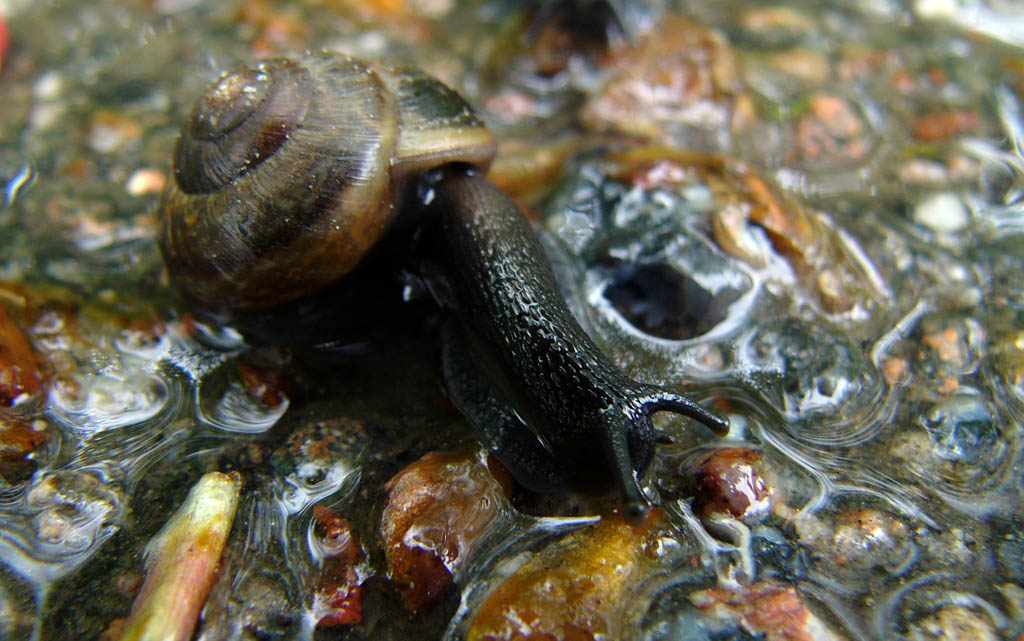 Fotografie von Diskis für DesignCrowd (Community Contests) | Design #9047586