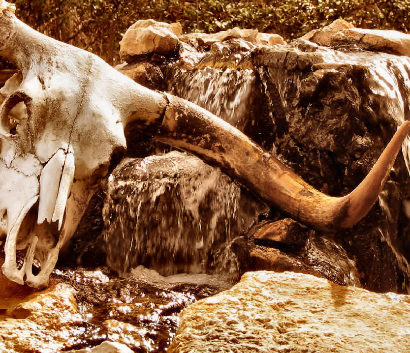 Fotografía por Suziecuchon para DesignCrowd (Community Contests) | Diseño #9047634