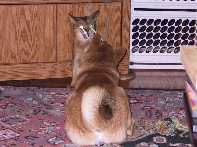 Photoshop-Design von DoctorTweek für DesignCrowd (Community Contests) | Design #9050125