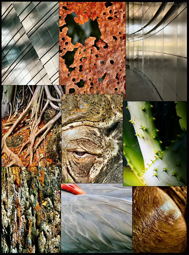 Fotografie von Juicer für DesignCrowd (Community Contests) | Design #9048510