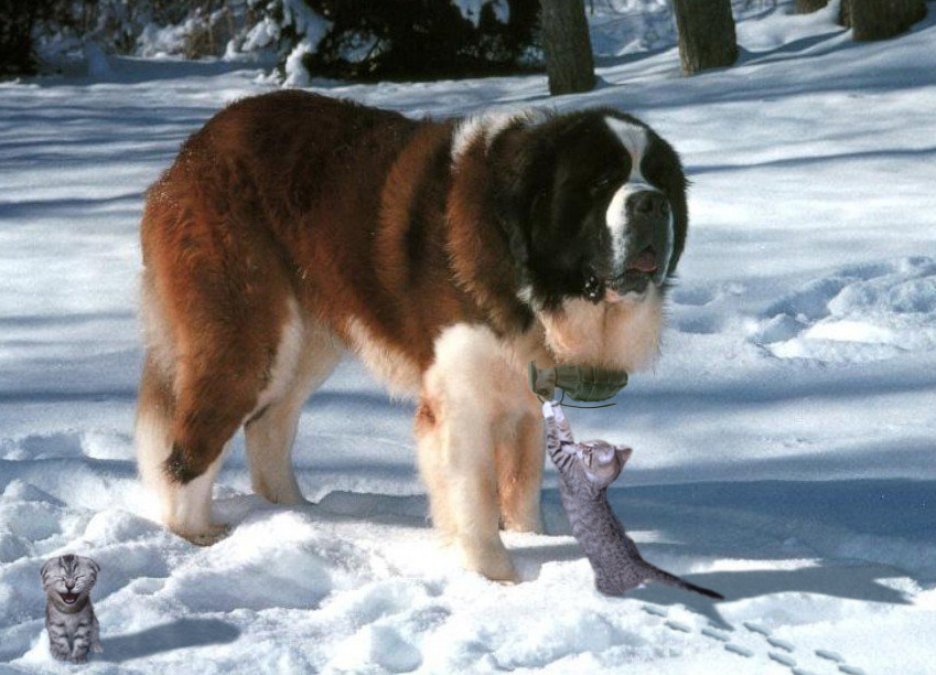 Photoshop Design by ekim1966 for DesignCrowd (Community Contests) | Design #9050139