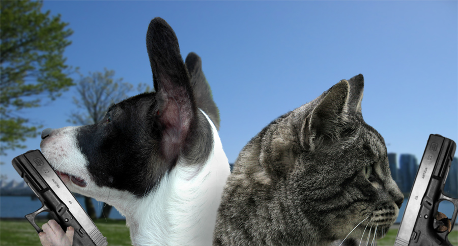 Design Photoshop par Obruni pour DesignCrowd (Community Contests) | Design #9050155