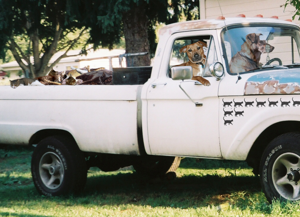 Photoshop-Design von corwin1 für DesignCrowd (Community Contests) | Design #9050159