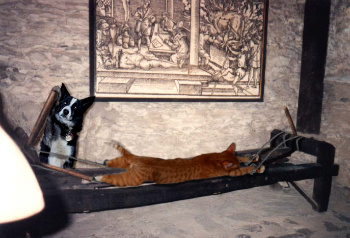 Photoshop Design by Irrwitzer for DesignCrowd (Community Contests) | Design #9050184