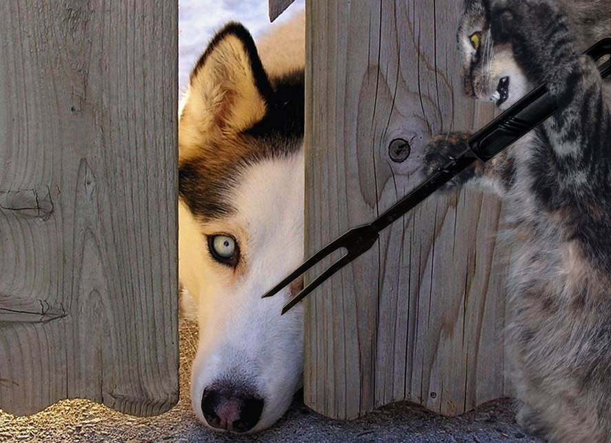 Photoshop-Design von jankob für DesignCrowd (Community Contests) | Design #9050175