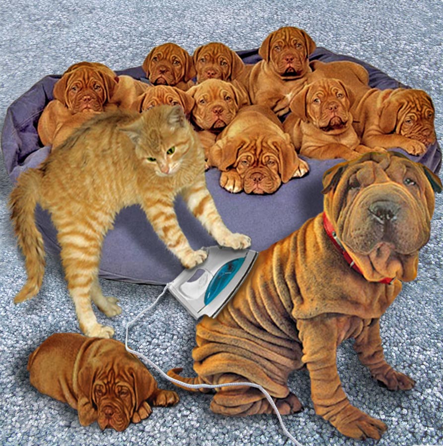 Photoshop Design by EyEars for DesignCrowd (Community Contests) | Design #9050164