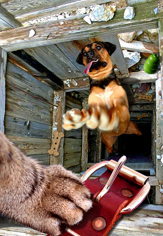 Photoshop Design by davidberettaowens for DesignCrowd (Community Contests) | Design #9050191