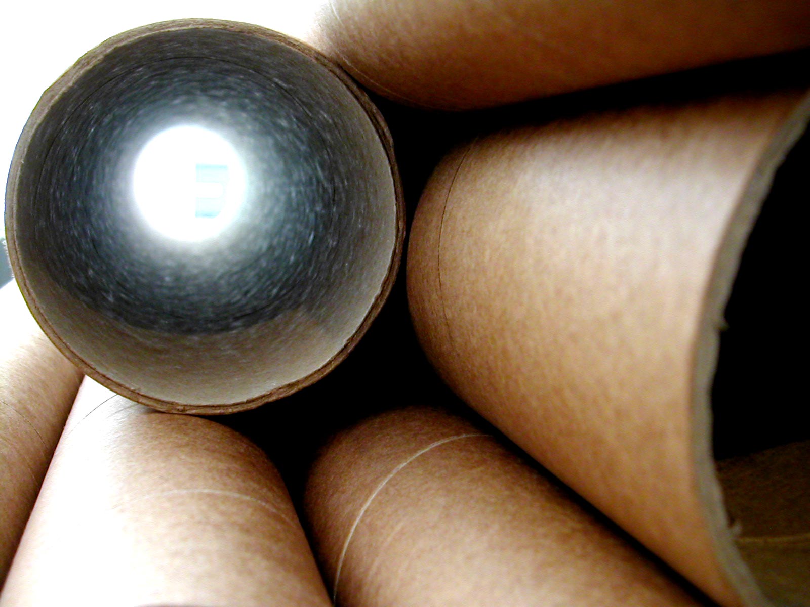 Fotografie von Jellybellybeans für DesignCrowd (Community Contests) | Design #9052349