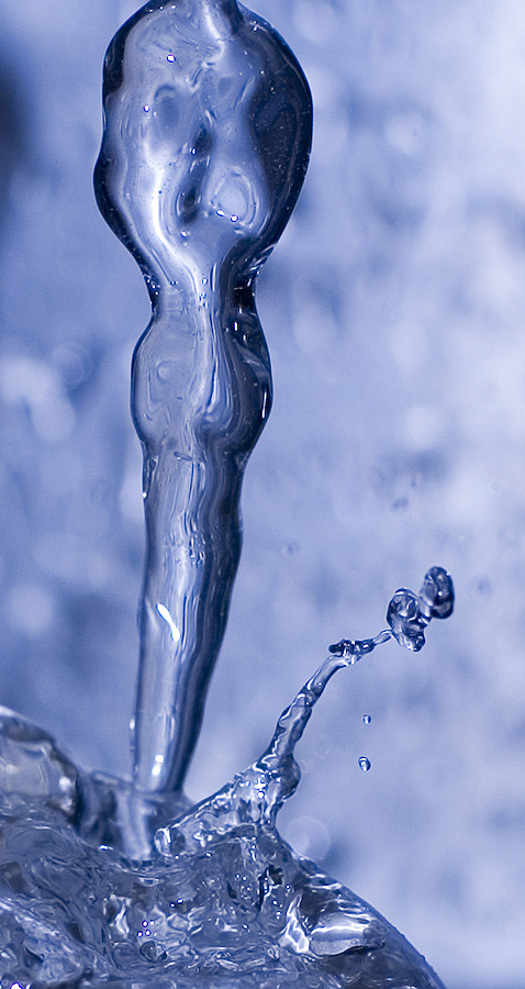 Photography by drogers for DesignCrowd (Community Contests) | Design #9047686