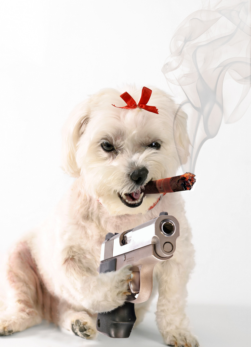 Photoshop Design by MoodsR4Cattle for DesignCrowd (Community Contests) | Design #9050211