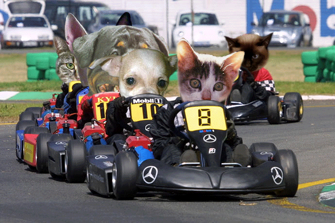 Photoshop-Design von majorleewasted für DesignCrowd (Community Contests) | Design #9050306