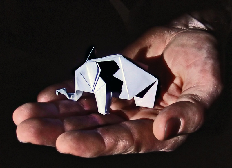 Photographie par golencio pour DesignCrowd (Community Contests) | Design #9052364