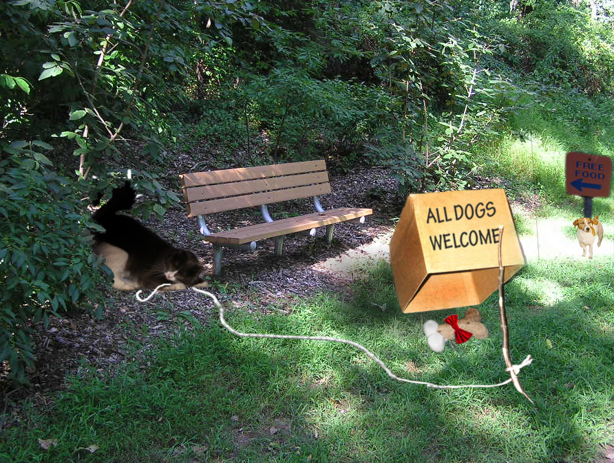 Photoshop Design by ravenastoria for DesignCrowd (Community Contests) | Design #9050293