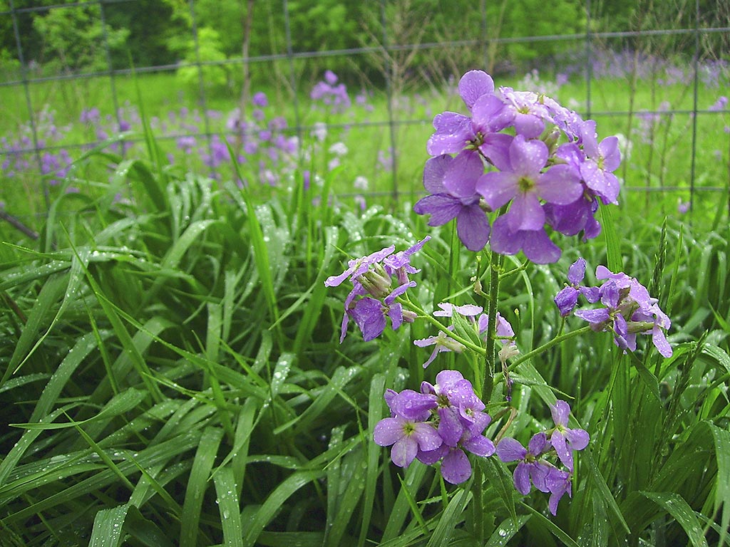 Photography by revdave33 for DesignCrowd (Community Contests) | Design #9047728