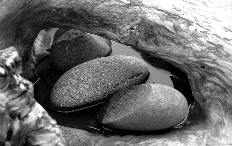 Photography by MisterSir for DesignCrowd (Community Contests) | Design #9047240