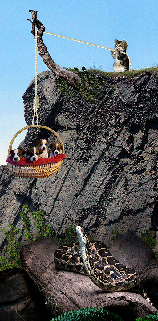 Photoshop Design by a17rwk for DesignCrowd (Community Contests) | Design #9050259