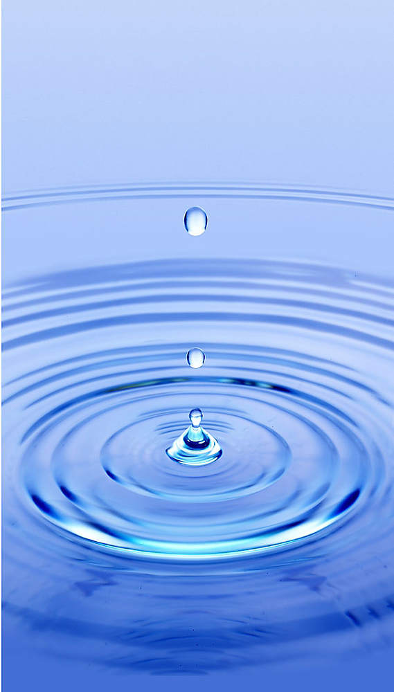 Fotografie von Bendersterrier für DesignCrowd (Community Contests) | Design #9047772