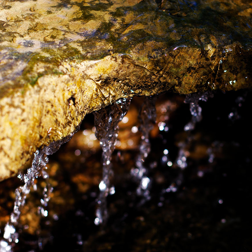 Fotografie von ChronicPest für DesignCrowd (Community Contests) | Design #9047714